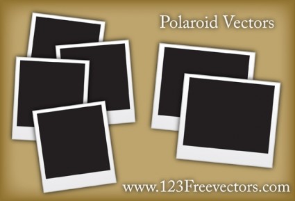 vetores de Polaroid