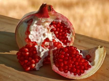 Pomegranate Wallpaper Miscellaneous Other