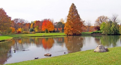 estanque en el Parque