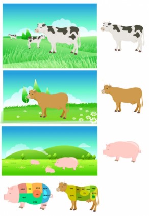 Schweinefleisch Rindfleisch Teile des Vektors Karte Zersetzung