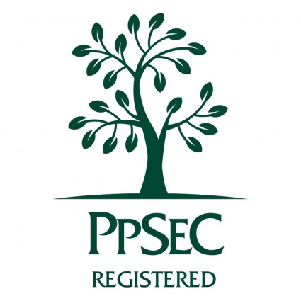 IPSec registrado