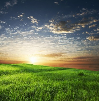 大草原の日没の絵