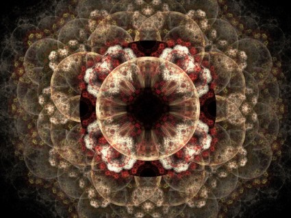 bonita fractal