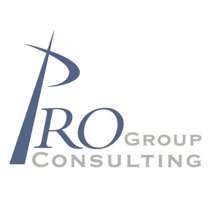 Pro group consultores