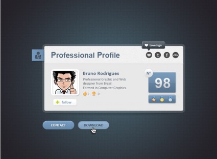 Profilo di carta professionale web