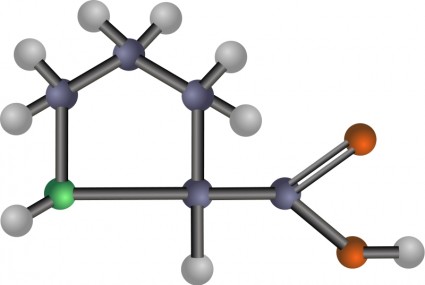 プロリンのアミノ酸