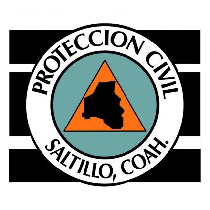 proteccion 市民サルティヨ