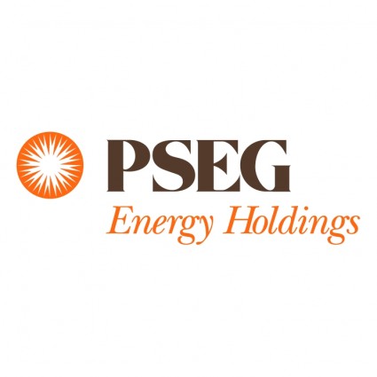 Pseg Energy Holding