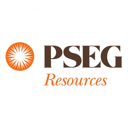 Pseg Resources