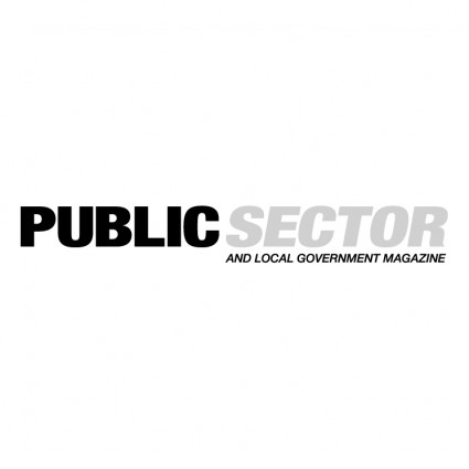 setor público