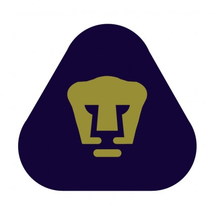 墨西哥国立自治大学美洲狮