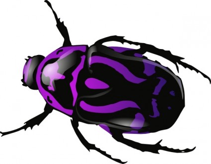 bọ cánh cứng màu tím clip nghệ thuật