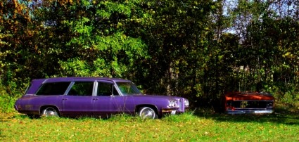 фиолетовый автомобиль оранжевый автомобиль