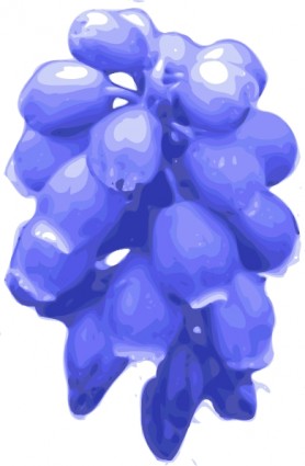 flores de color púrpura clip art