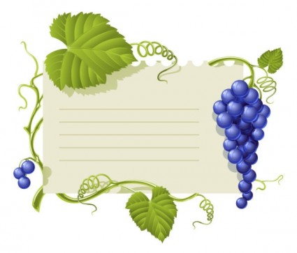 fioletowy winogron tematu ogłoszeń wektor