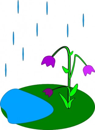дождя цветы Картинки