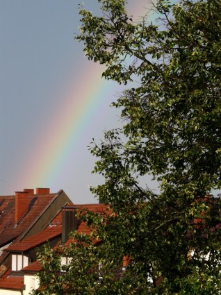 albero di città arcobaleno