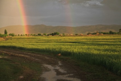 Regenbogen-Feld-afghanistan