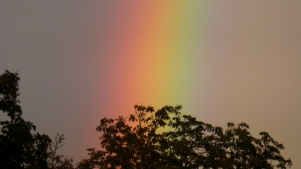 Rainbow hujan spektrum