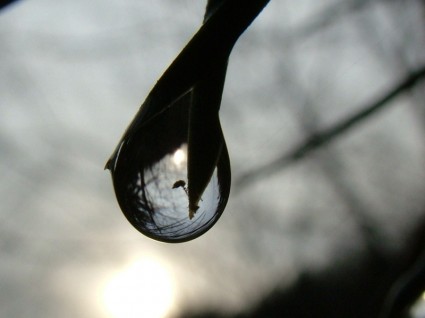 giọt nước mưa phản ánh nhỏ giọt