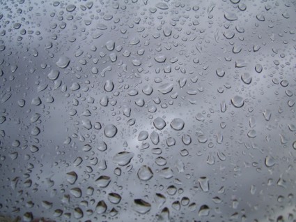 дождевые капли на стекле