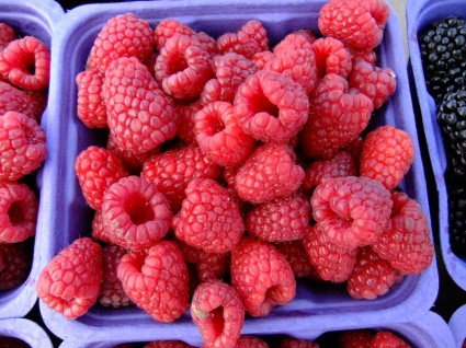pasar buah Raspberry