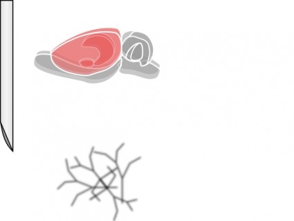arte de clip de cerebro de rata