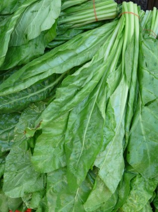 verdura spinaci spinaci reale