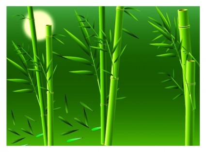 vetor de bambu realista
