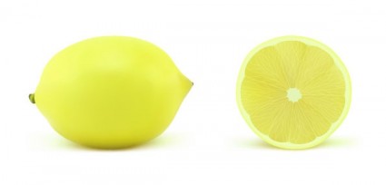 vector realista de la fruta