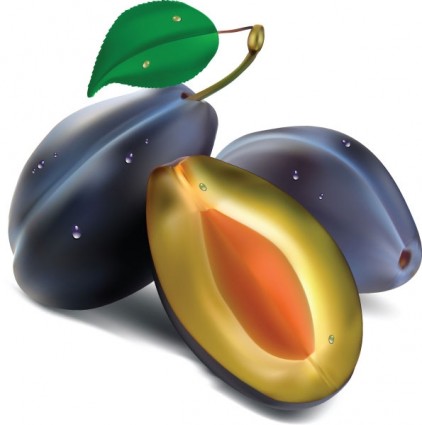 vector realista de la fruta