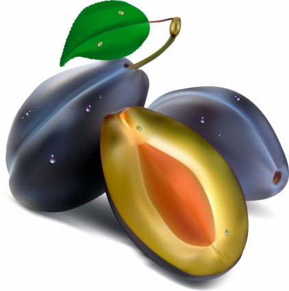 vettori realistico frutta