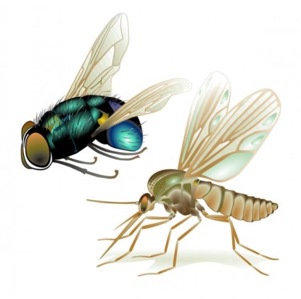 Realistic Insect Vector