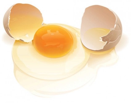huevos de vector realista