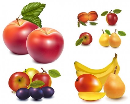 frutta realistico vettoriale
