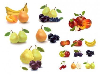 Realistische Vektor Früchte