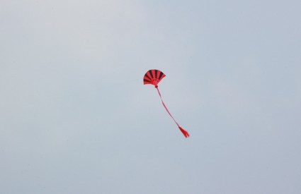 红色和黑色的风筝