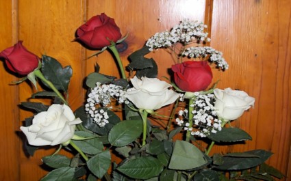 Hoa hồng đỏ và trắng