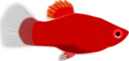 أسماك الزينة الحمراء قصاصة فنية