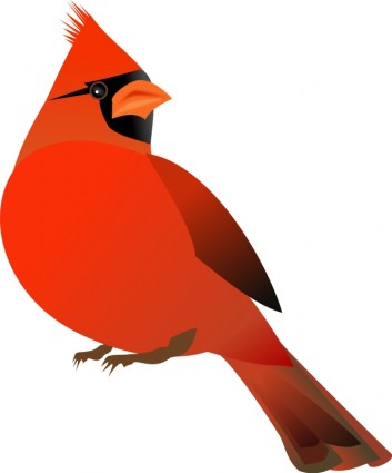 rouge cardinal