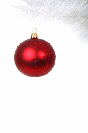 bola vermelha de Natal no ramo