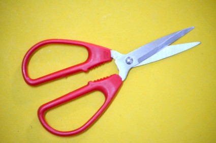 Red Handle Scissors