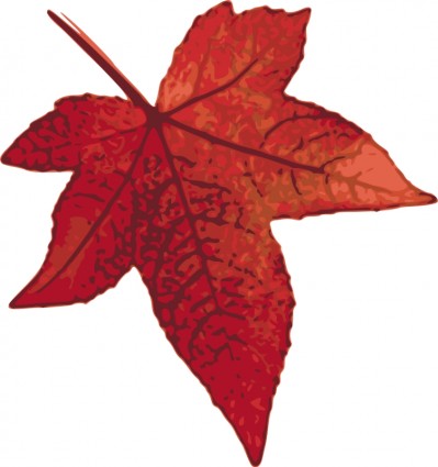 빨간 단풍 잎