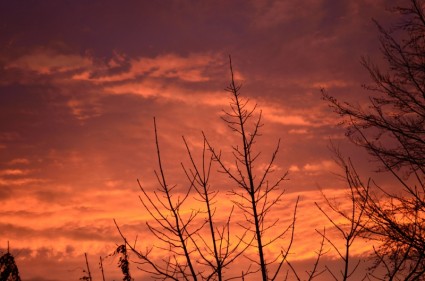 红色早晨的天空
