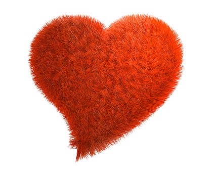Roter Plüsch Herzförmiger Bild