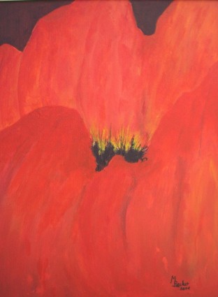 pintura klatschmohn de papoula vermelha