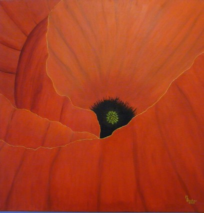 imagen de la pintura de amapola roja