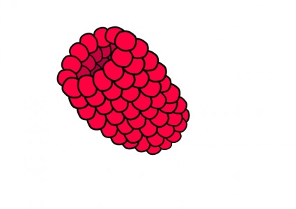 紅樹莓