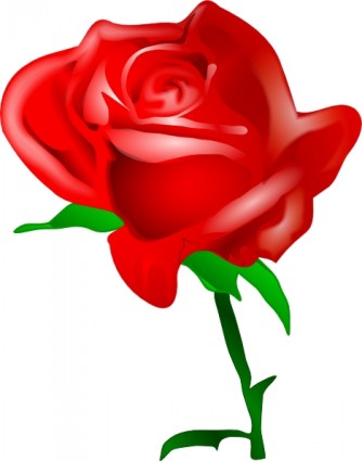 czerwona róża clipart