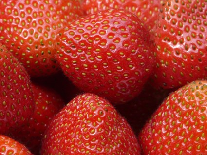 紅色的草莓果實